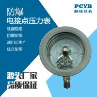 专业制造防爆 隔爆 隔膜 膜盒 抗震 电接点 PCYTX-100B 压力表