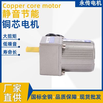 120W小型齿轮减速电机 110V/220V/380V微型卧式直流变速电机