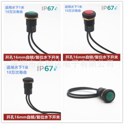 多色带线水下按钮开关/自锁/复位防水开关/IP67 4A 250V/户外开关