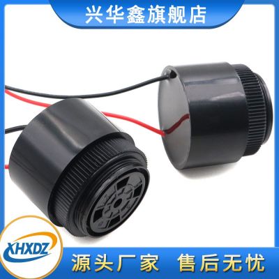 3610有源压电蜂鸣器引线DC12V/24V带线报警器螺旋帽底部防水