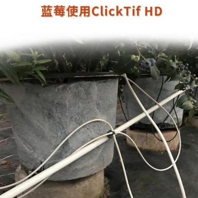 以色列瑞纳安丹压力补偿滴头滴水神器果园蓝莓草莓农业用自动滴灌